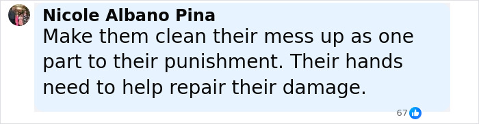 Comment by Nicole Albano Pina emphasizing punishment and responsibility for children&rsquo;s actions, related to mothers turning in children to police.