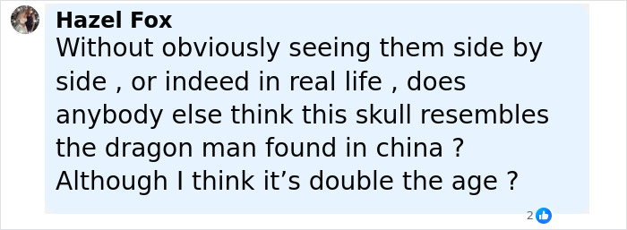 Comment by Hazel Fox questioning if the Petralona Man skull resembles the Dragon Man found in China despite age differences.