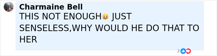 Comment by Charmaine Bell expressing frustration and questioning a senseless action related to Iryna Zarutska murals donation. Comment by Charmaine Bell expressing frustration and questioning a senseless action related to Iryna Zarutska murals donation.