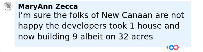 Comment by MaryAnn Zecca discussing local residents' unhappiness over developers replacing one house with nine on 32 acres.