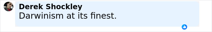 Screenshot of a social media comment by Derek Shockley stating Darwinism at its finest related to a viral TikTok trend.