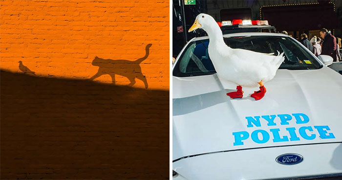 This Instagram Account Proves Photography Is More Than Just A Picture, And These 50 Pics Show Why