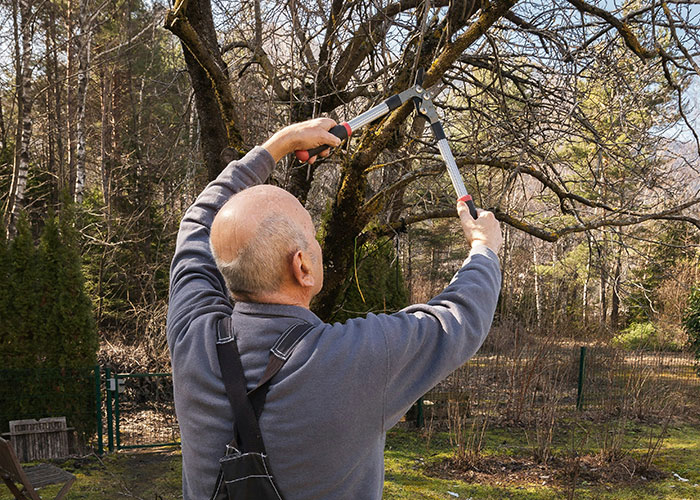Man pruning tree branches outdoors, illustrating a humorous job description manipulating person and product.