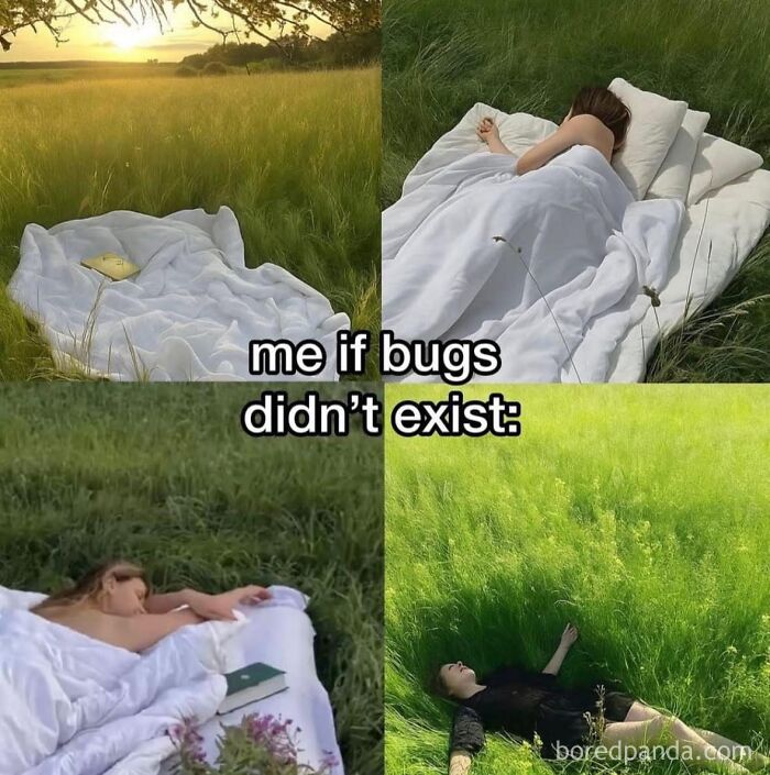 Person relaxing on blankets and grass in a field, illustrating a viral meme about bugs and outdoor comfort from chaotic meme page.