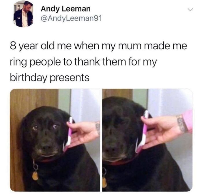Black dog looking uncomfortable while held to a phone, illustrating awkwardness in viral memes from chaotic meme page.