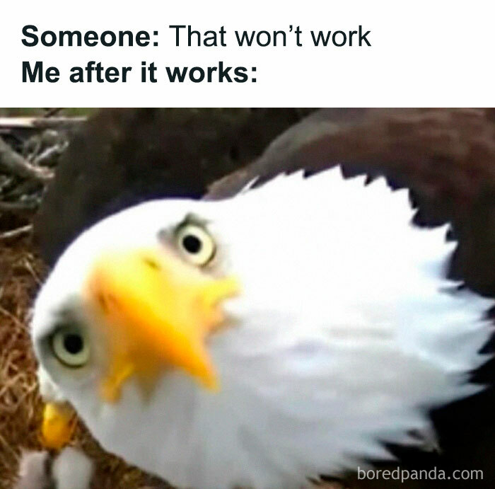 Eagle looking surprised with caption about something working, representing viral memes from a chaos goldmine page.