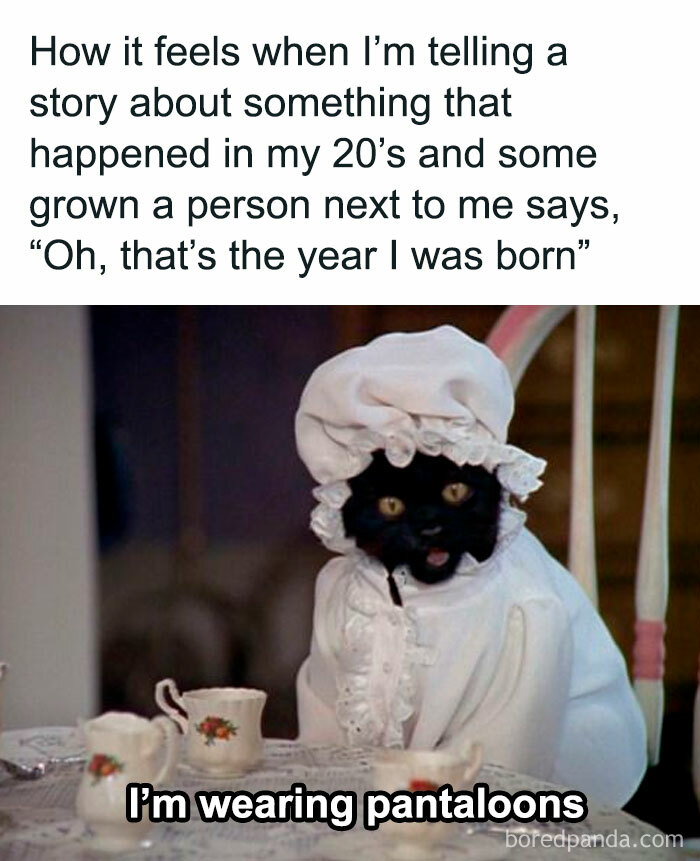 Black cat in vintage outfit with a caption joke, a funny archeology and history meme making learning fun concept.