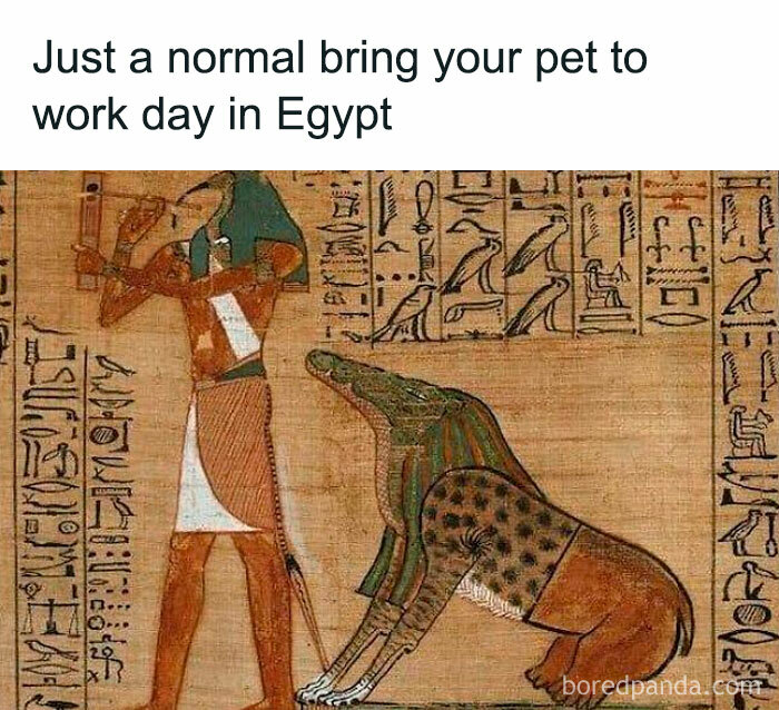 Ancient Egyptian hieroglyphs showing man with a crocodile-pet in a humorous archaeology and history meme.