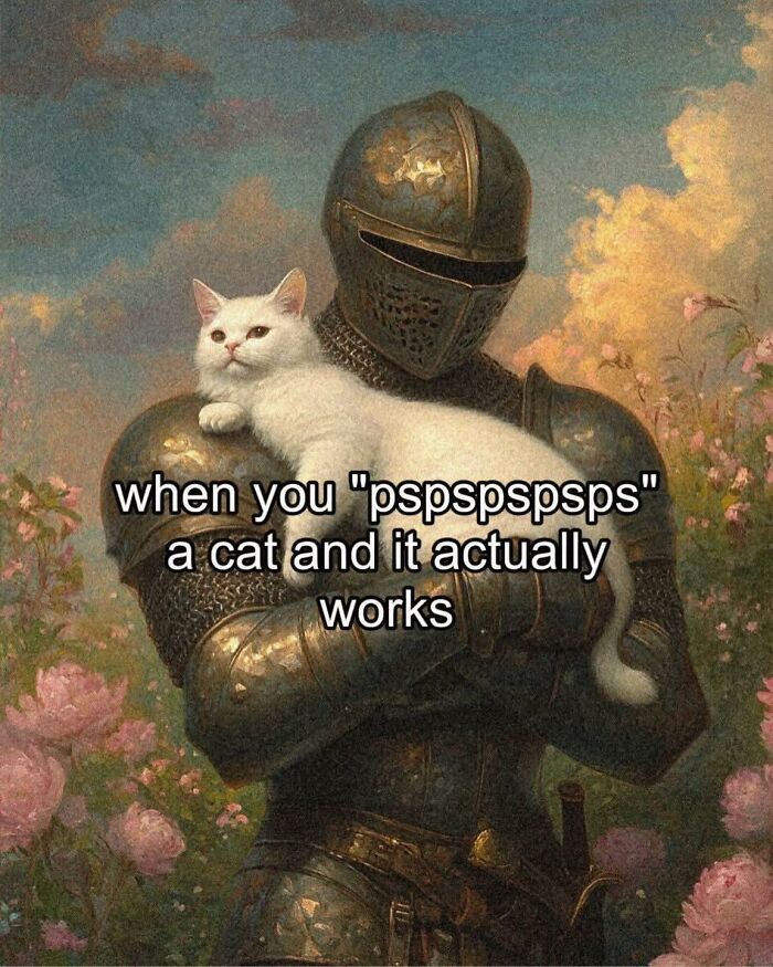 Medieval knight holding a white cat, a humorous history meme from archeology and history memes making learning fun.
