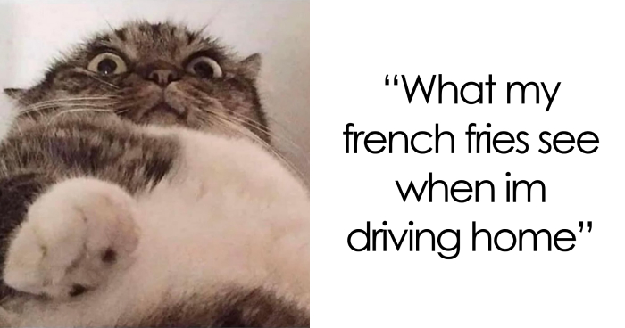 Readers’ Vote: 46 Fat Jokes With The Best Intentions At Heart
