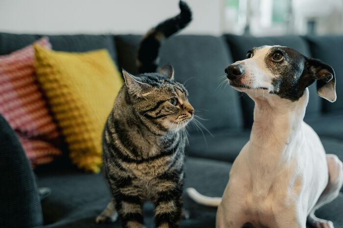 "That's Advanced Stupid": 46 People Share How They Were Baffled By Someone's Sheer Ignorance