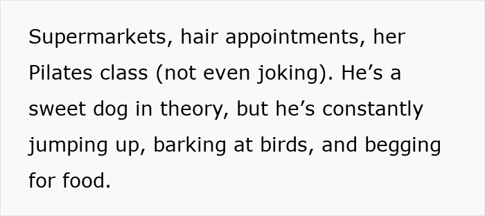 Text excerpt about a therapy dog causing disruptions by barking, jumping, and begging for food in public places. Text excerpt about a therapy dog causing disruptions by barking, jumping, and begging for food in public places.
