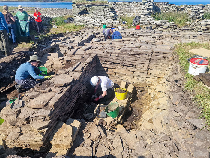 Archaeology student excavating ancient head carving site on a farm with stone ruins visible under bright daylight.