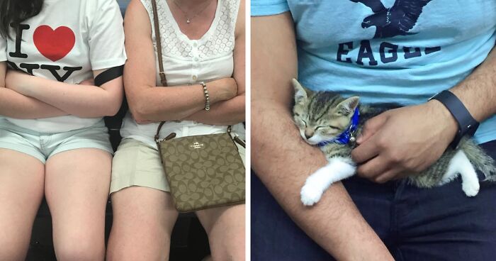 New York Subway Has The Most Unusual Passengers Carrying These 50 Things In Their Hands