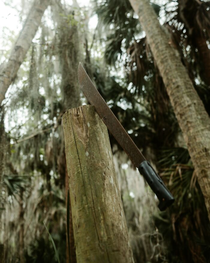 Rusty machete stuck in wooden post in forest, symbolizing patients who defied every medical odd according to doctors.