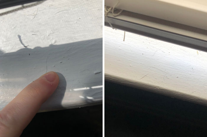 Close-up of dirty window sill with hair and dust highlighting poor landlord maintenance in rental property.