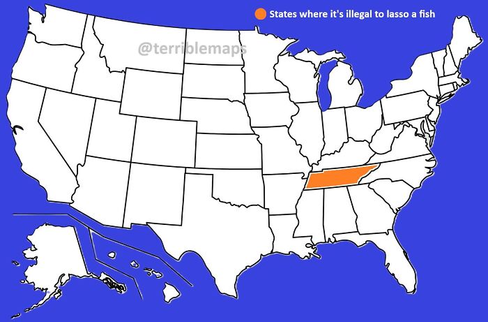 US map highlighting Tennessee in orange as a state where it's illegal to lasso a fish, showcasing funny map facts.