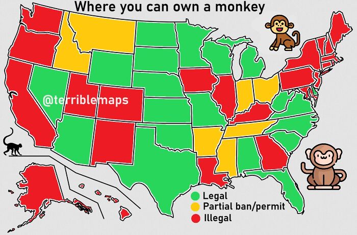 Map showing where owning a monkey is legal, illegal, or partially banned across the United States with humorous colors.