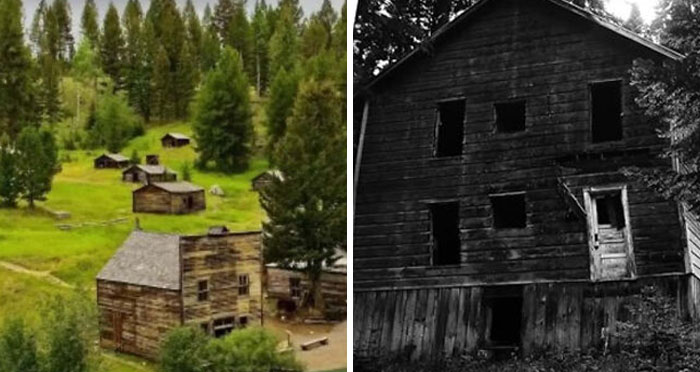 Abandoned wooden houses in a forested area, evoking mysterious and terrifying scenes from chilling photos and stories.