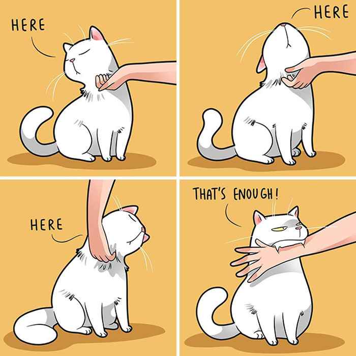 If You’re A Cat Owner, These Comics By Lingvistov Might Be Very Relatable To You (50 Best Pics)