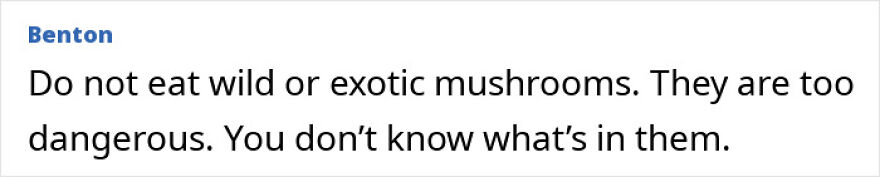 Text warning about avoiding wild or exotic mushrooms due to risks linked to ALS, Lou Gehrig&rsquo;s disease concerns.