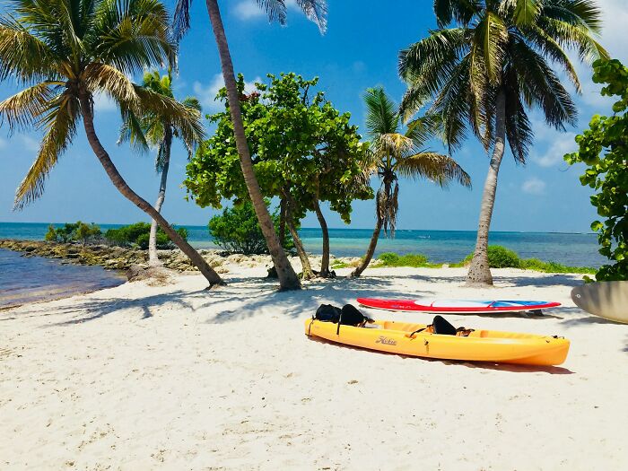 Tropical travel destination with palm trees, sandy beach, kayaks, and calm ocean under a clear blue sky.
