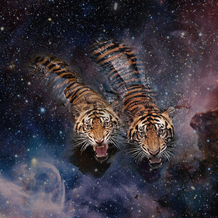 25 Out-Of-This-World Collages From Fabian Artunduaga That Bend Space And Reality