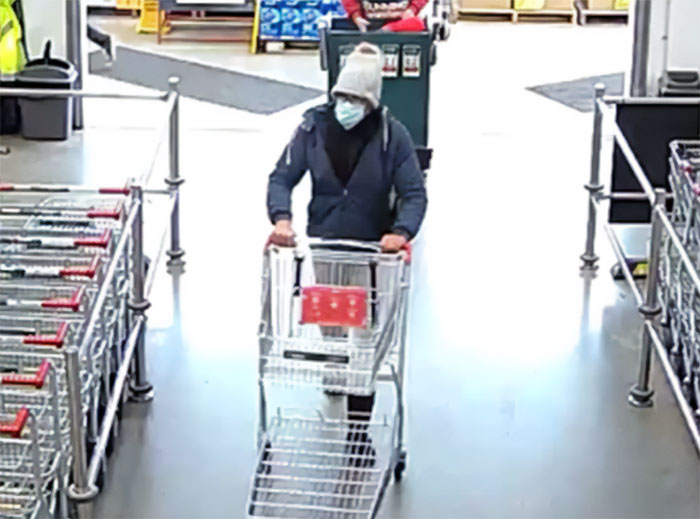 Person wearing a mask and hat pushing a shopping cart inside store related to mom of kids who vanished into wilderness news.
