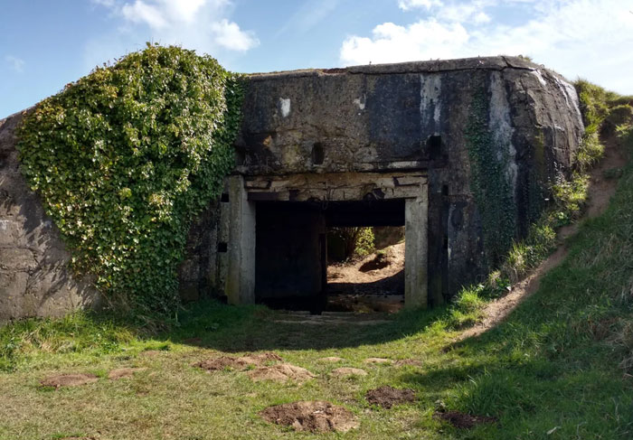 Old bunker entrance surrounded by grass and ivy, showing risks tourists sometimes take according to tour guides.