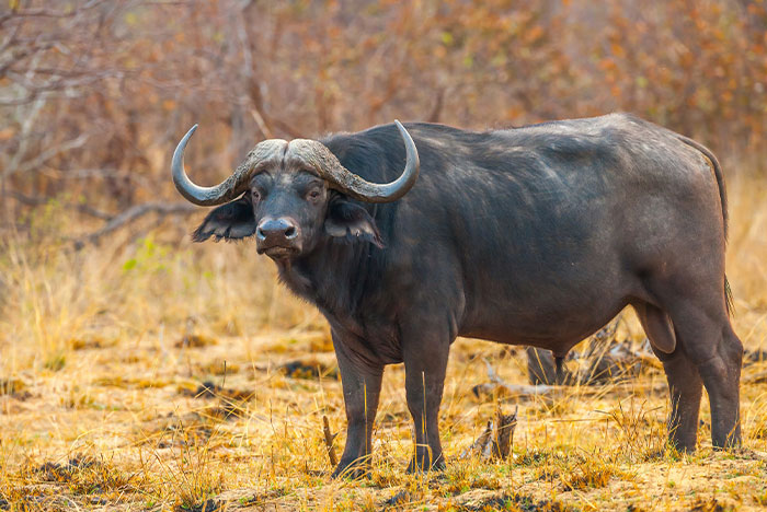 “He Wasn't Even Ashamed”: 46 Ridiculous Tourist Moments Tour Guides Can’t Forget