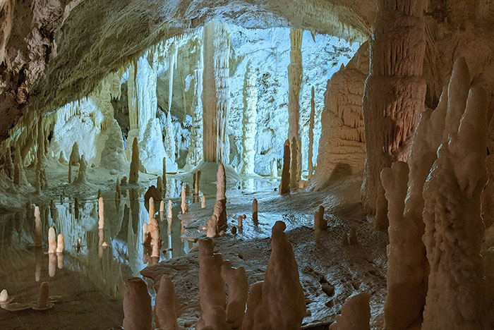 “He Wasn't Even Ashamed”: 46 Ridiculous Tourist Moments Tour Guides Can’t Forget