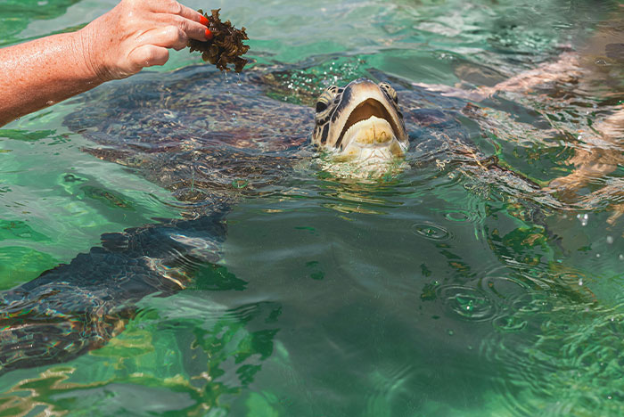 “He Wasn't Even Ashamed”: 46 Ridiculous Tourist Moments Tour Guides Can’t Forget