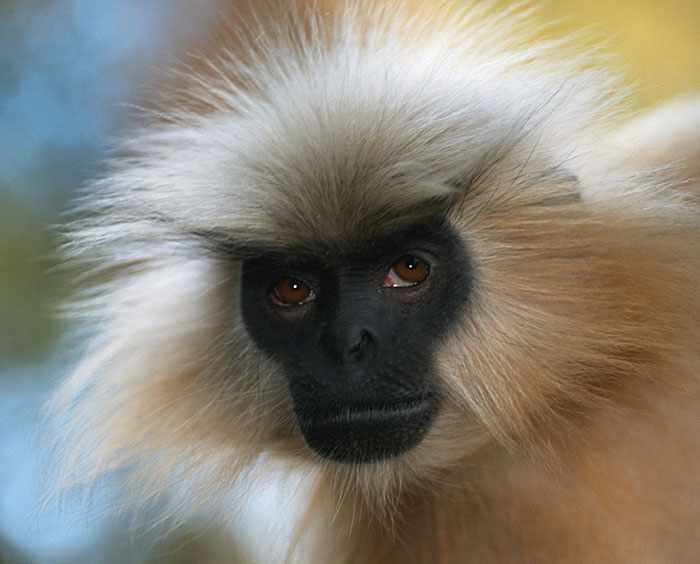 “He Wasn't Even Ashamed”: 46 Ridiculous Tourist Moments Tour Guides Can’t Forget