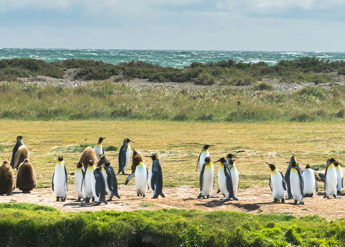 “He Wasn't Even Ashamed”: 46 Ridiculous Tourist Moments Tour Guides Can’t Forget