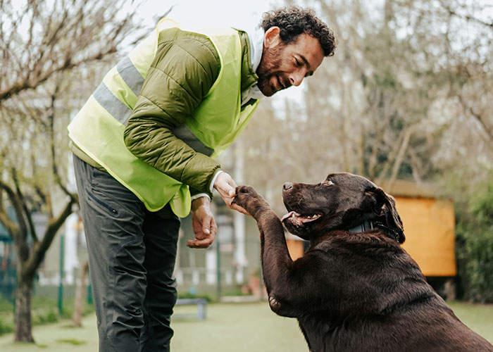 Man in a safety vest interacting with a dog outdoors, illustrating unexpected industry secrets in animal training.