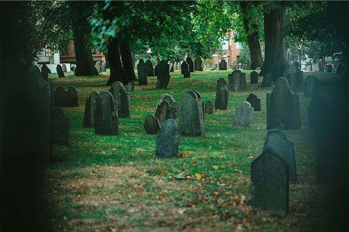 Old cemetery with weathered gravestones under green trees, evoking eerie and bizarre paranormal experiences.