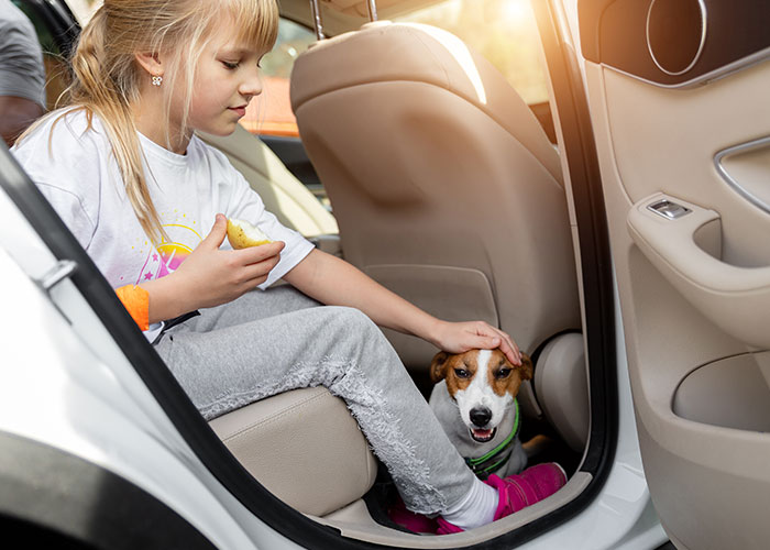 Young girl eating a sandwich and petting a dog inside a car during a vacation trip that turned into a travel nightmare.