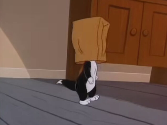 Animated cat with paper bag over head walking indoors, illustrating life-changing sentences tattooed on hearts concept.