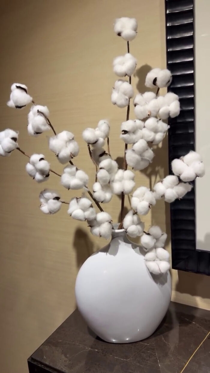 Cotton plant decoration displayed in a white vase inside a New York City hotel, sparking heated reactions online. Cotton plant decoration displayed in a white vase inside a New York City hotel, sparking heated reactions online.