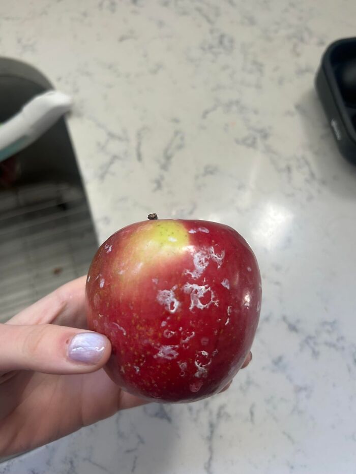Hand holding a red apple with white spots, highlighting everyday things that humble fully grown adults in a kitchen setting.