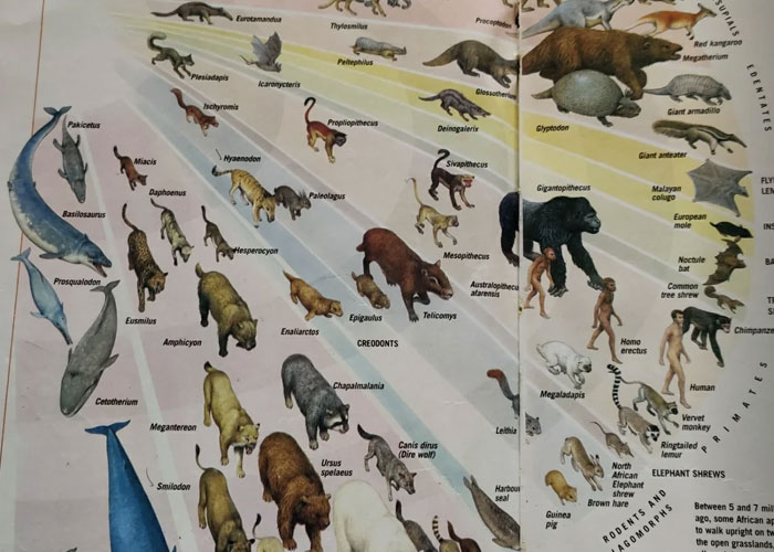 44 Parents’ Rules People Didn’t Realize Were Unhinged Until They Grew Up