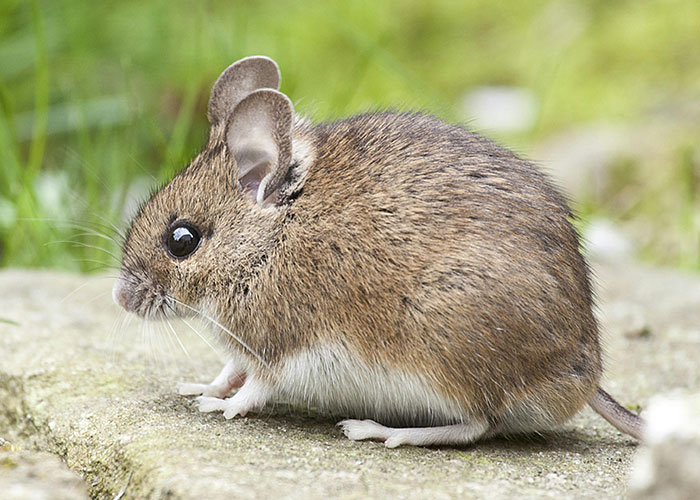 45 Of The Most Unhinged Workplace Incidents To Get You Through Your Day