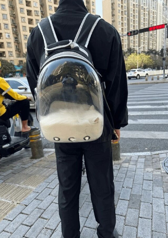 Person in black clothing carrying a transparent backpack with a white cat inside on a city street, wholesome posts distraction.
