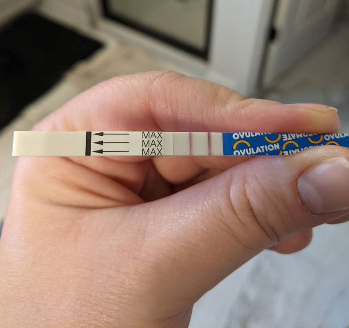 Hand holding an ovulation test strip showing faint lines, relating to the dramatic pregnancy reveal and test confusion. Hand holding an ovulation test strip showing faint lines, relating to the dramatic pregnancy reveal and test confusion.