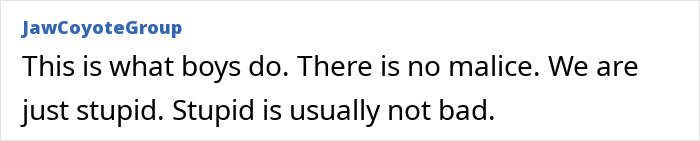 Text post from JawCoyoteGroup discussing boys' behavior, emphasizing lack of malice and common stupidity without harm. Text post from JawCoyoteGroup discussing boys' behavior, emphasizing lack of malice and common stupidity without harm.