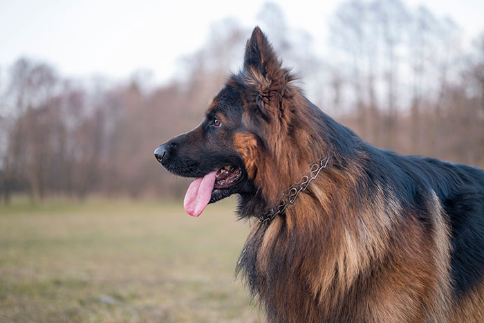 Woman Asked For Best Ways To “Rage-Bait” Men, 39 Replies Did Not Disappoint