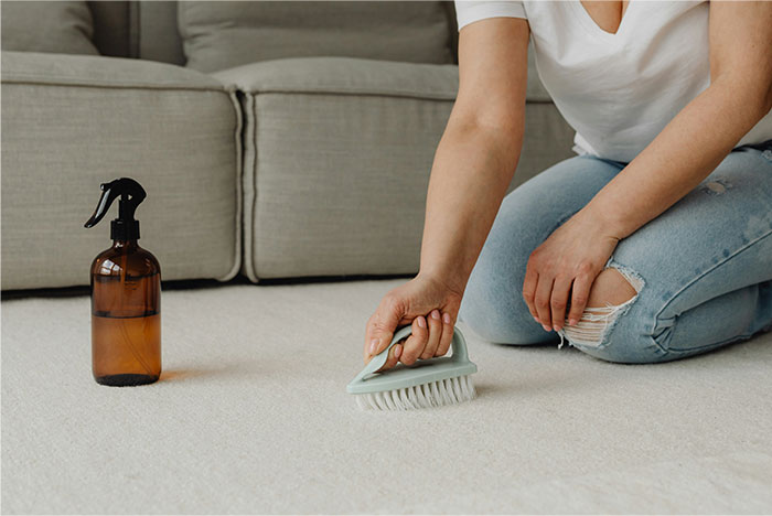 Person cleaning carpet with a brush and spray bottle near a sofa, illustrating ways people got banned from a friend’s house.