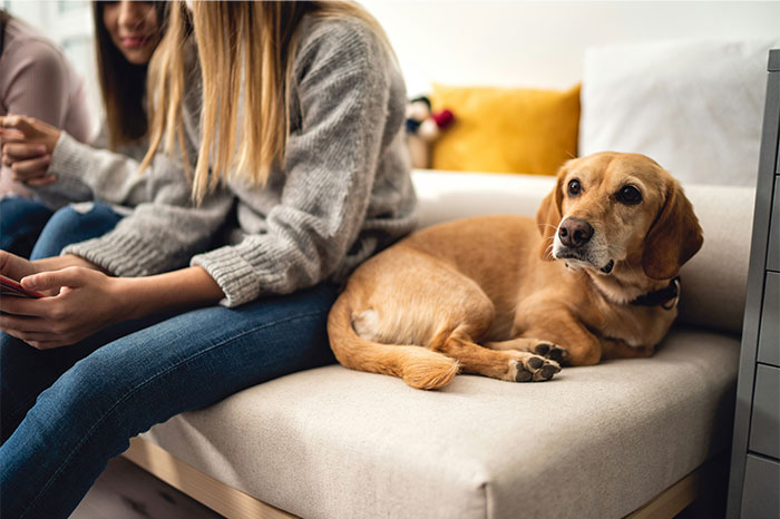 “Faked A Miscarriage In My All-White Bathroom”: 47 Things That Got Guests Banned For Good