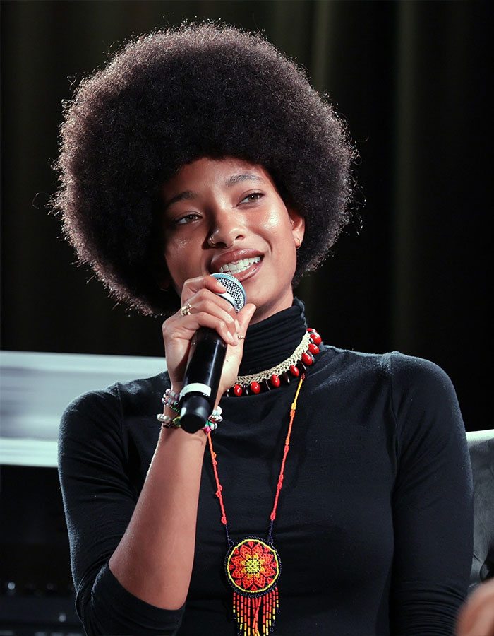 Fans Heartbroken After Will Smith Reveals Why Willow Shaved Her Head Mid-Tour