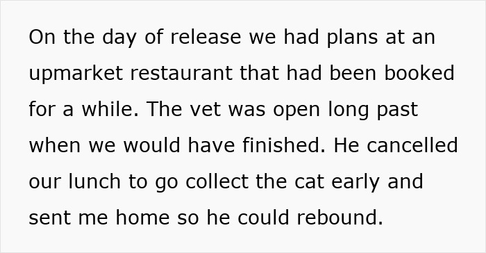 Person gently stroking a calm cat during intimacy, creating a soothing and affectionate moment together.